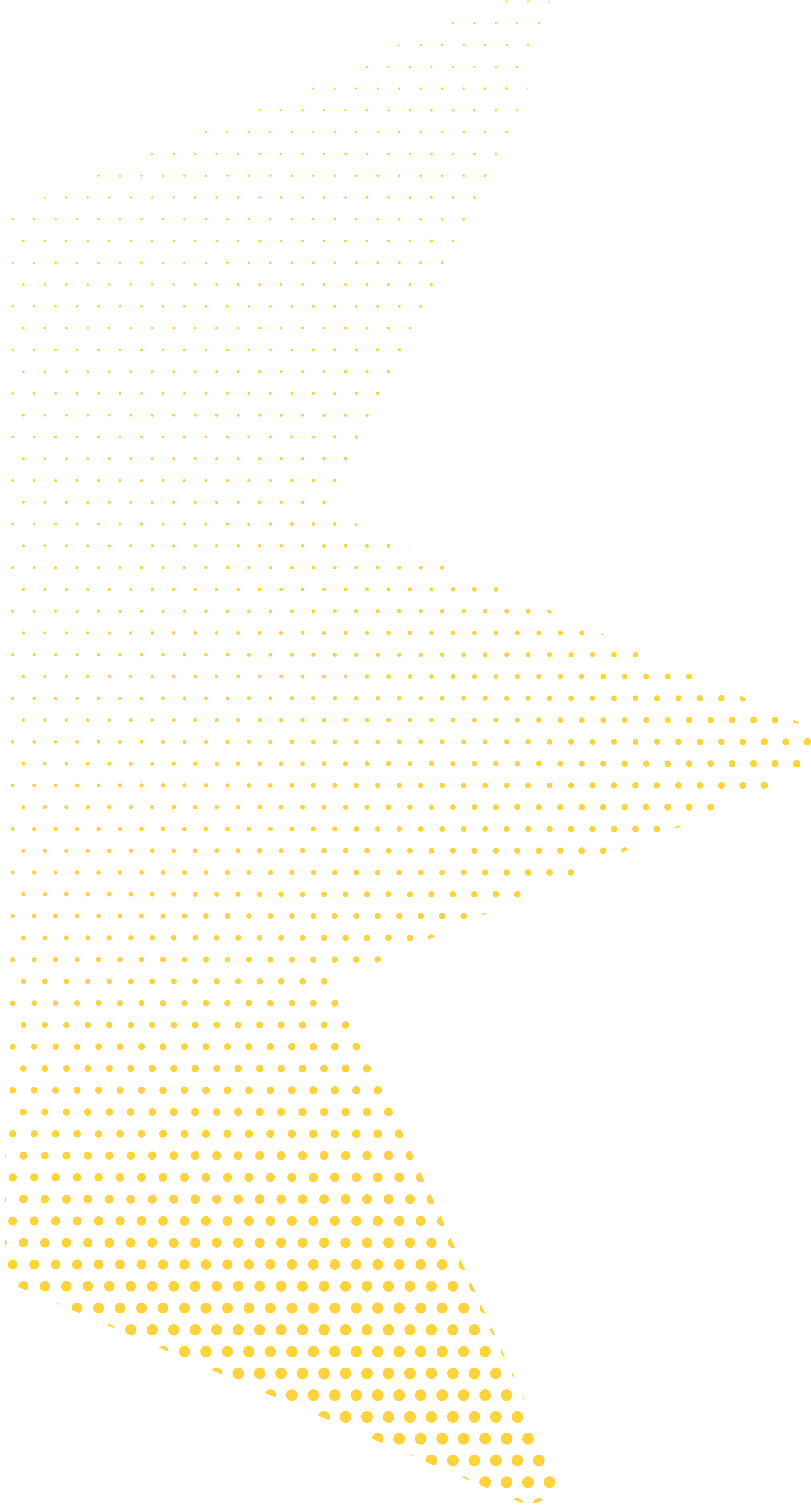 Kingstar_Star Halftone_Left_Yellow